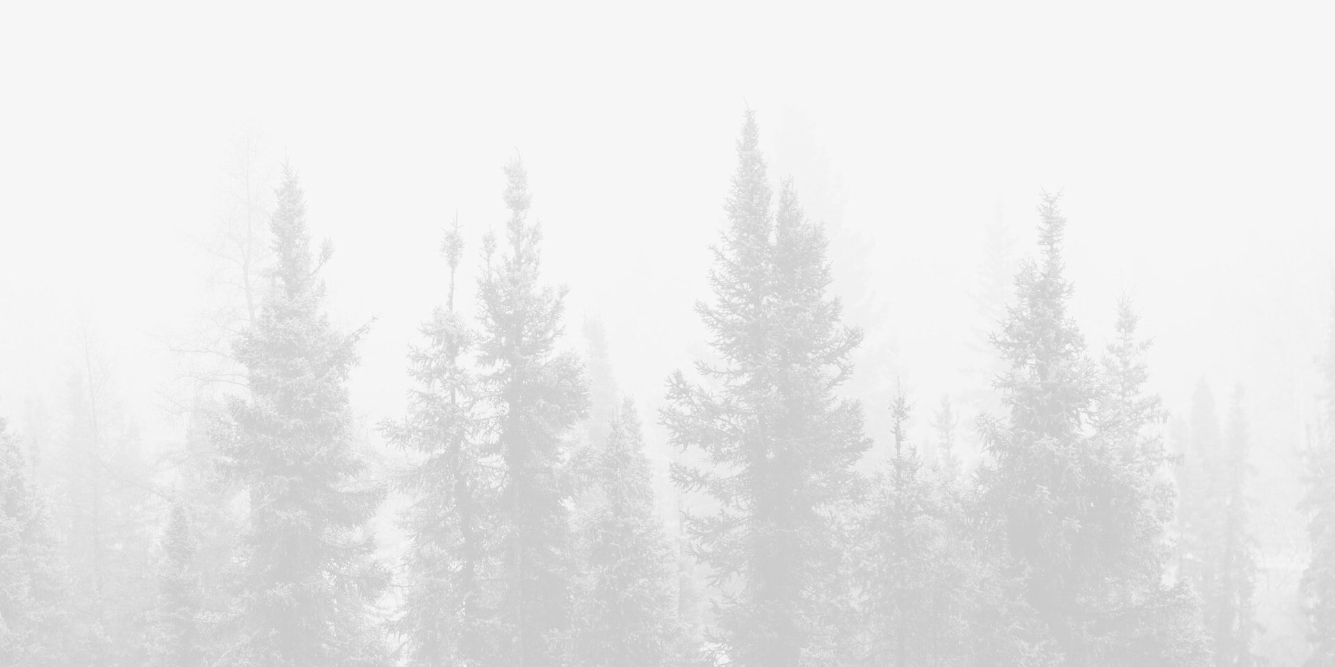 Demo media 165665804